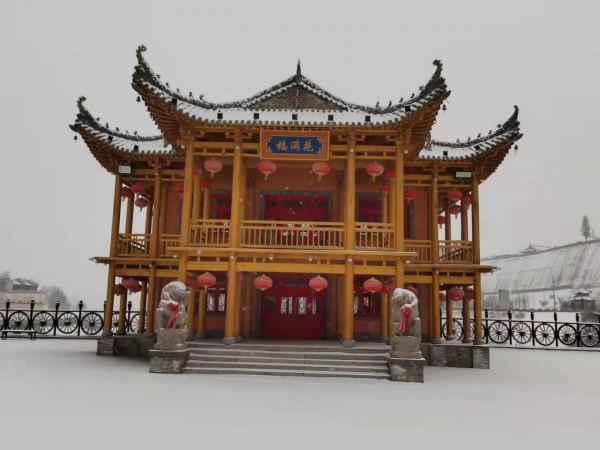 虎躍鬧新春 瑞雪兆古城 虎躍鬧新春 瑞雪兆古城