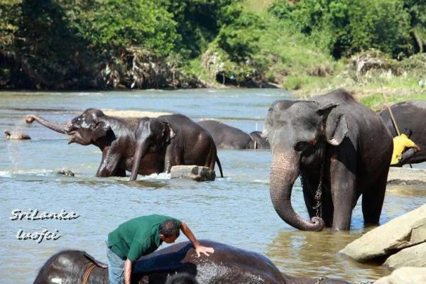 一些讓你聽完起雞皮疙瘩的冷知識…… 一些讓你聽完起雞皮疙瘩的冷知識……