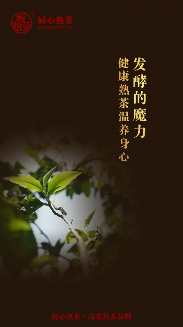 發酵的魔力，健康熟茶溫養身心