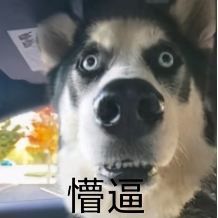 這樣的二手車還能符合“嚴選車”的標準嗎 這樣的二手車還能符合“嚴選車”的標準嗎