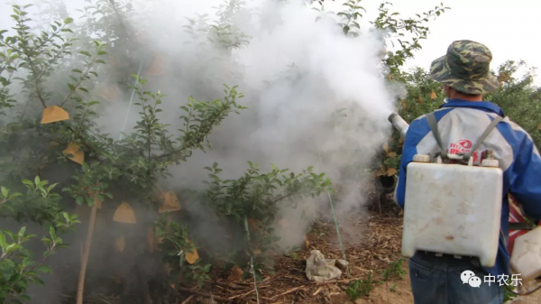 雨後果園及時噴藥，防止病菌侵染果實