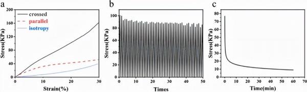 用於應變感測器的梯度擴散各向異性羧甲基纖維素水凝膠