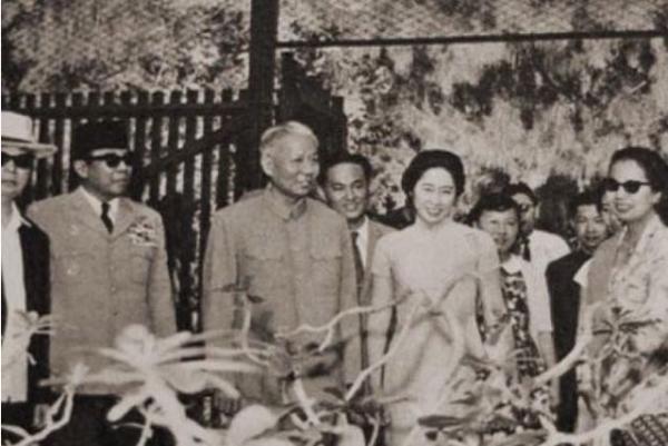 1963年,劉少奇夫人王光美畫像,在印尼街頭被爭相傳閱,究竟為何 1963年,劉少奇夫人王光美畫像,在印尼街頭被爭相傳閱,究竟為何
