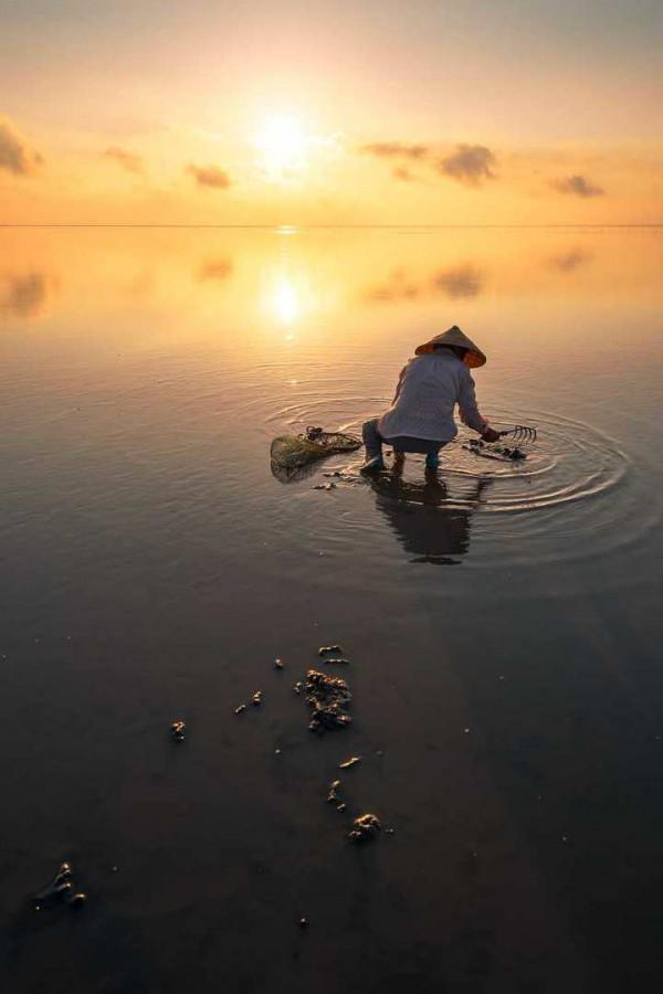 青未了｜散文《老人與海》