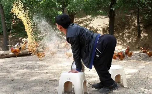 河南棄嬰雙腿殘疾,爬行30年,卻靠養殖場賺錢,為養父蓋新房 河南棄嬰雙腿殘疾,爬行30年,卻靠養殖場賺錢,為養父蓋新房