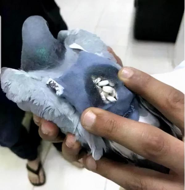 中柬警方聯手破獲販毒大案，350公斤毒品竟被藏到這裡......