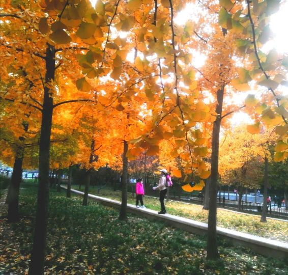 華姨回憶20年前做護士長的日日夜夜(48)為工作累病倒 華姨回憶20年前做護士長的日日夜夜(48)為工作累病倒