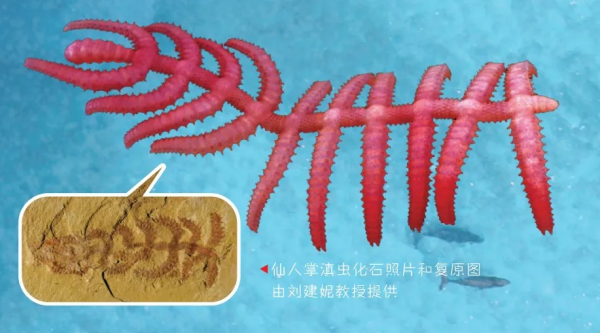 《穿越地球46億年》獲評“2020年度陝西省優秀科普作品”