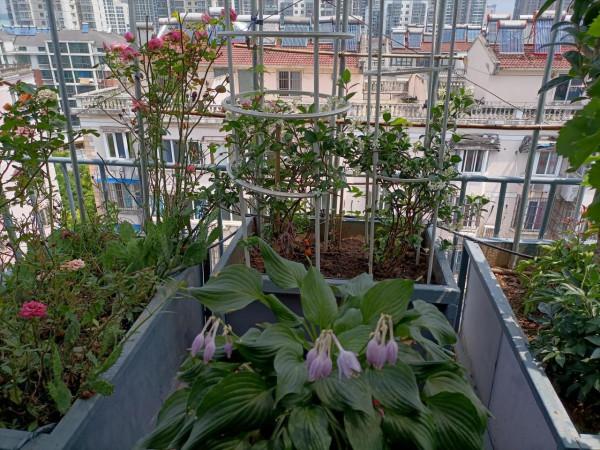 家中煩事(隨筆) 家中煩事(隨筆)