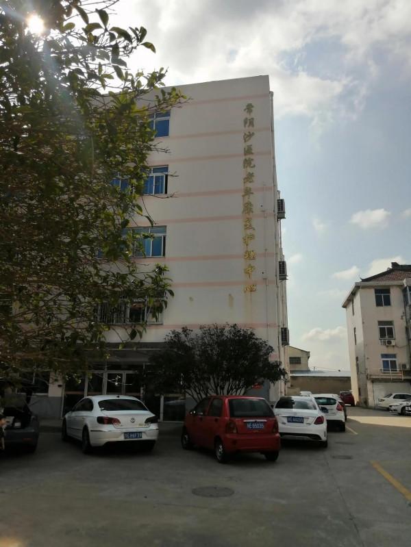 姐姐終於被送進了養老院