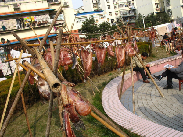 數九過寒冬,“3樣”美食要提前備好,待客用得著,別不當回事 數九過寒冬,“3樣”美食要提前備好,待客用得著,別不當回事