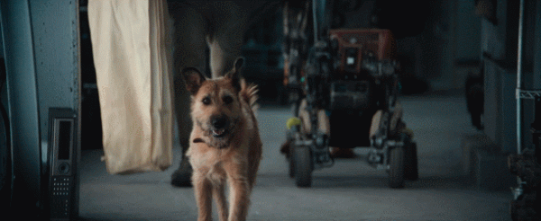 疲了一年的好萊塢大片，終於硬起來了