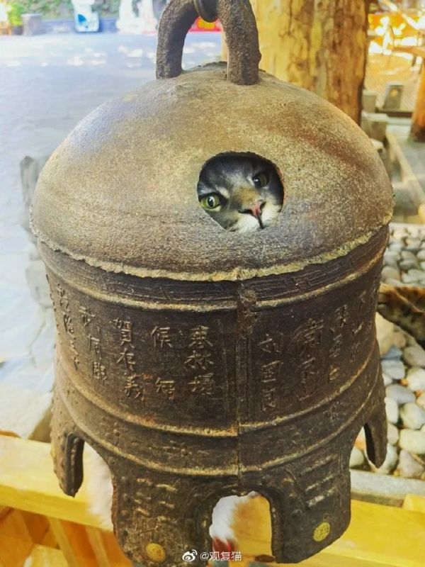 你能全答對，算我輸