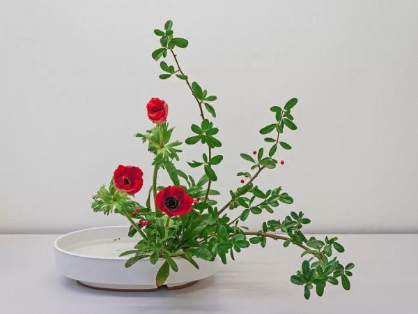 超美花藝，淨化心靈