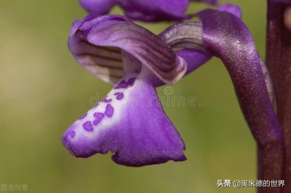 《百年孤獨》的故鄉&OpenCurlyDoubleQuote;哥倫比亞&rdquo;的20個冷知識，你知道幾個？