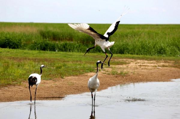自駕十年(2013)——阿爾山踏青( 四) 自駕十年(2013)——阿爾山踏青( 四)