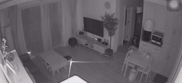 入秋後我就離不開了，這6款小家電真的很“哇塞”