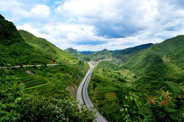 6種在農村常見但有毒的植物，帶毒部位各不相同，野外遇到請遠離