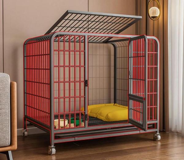 為什麼狗改不了吃屎 為什麼狗改不了吃屎