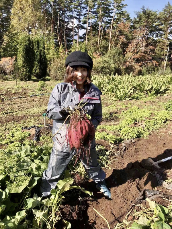 中國女孩隱居日本鄉下4年，40萬買下小屋，開窗就能望見富士山