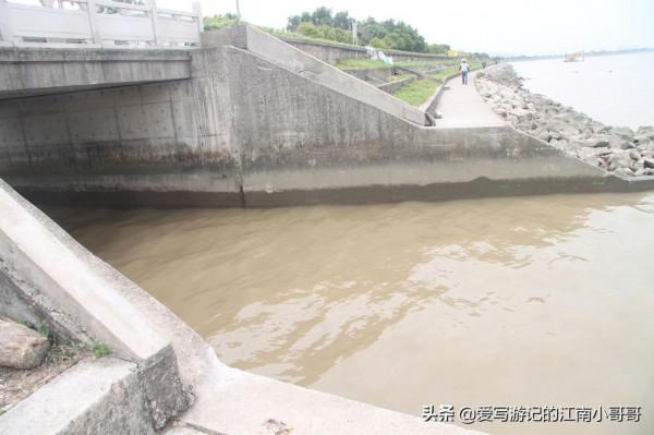 處在淡水水域的海鷗島，因外形輪廓相似而得名，其實並沒有海鷗