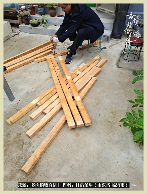 北方有多肉,絕世而獨立!一顧傾人城,再顧傾人國 北方有多肉,絕世而獨立!一顧傾人城,再顧傾人國