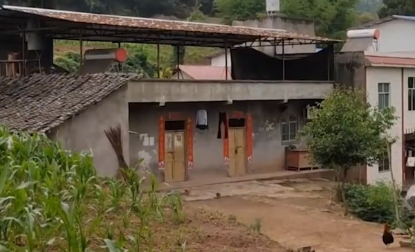 河南拾荒老頭養大棄嬰，為報父恩關掉公司帶父全國遊，被央視點贊