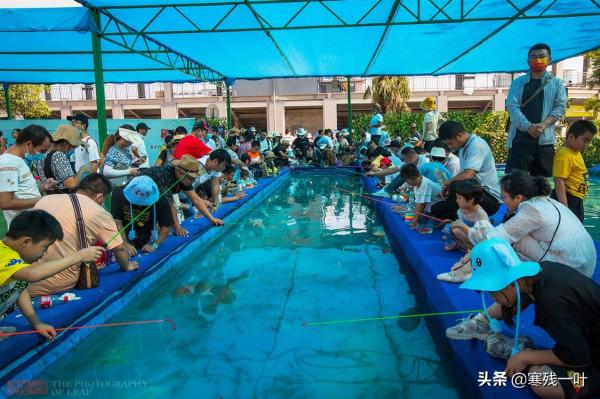 一個簡易魚池，一根魚竿30塊，遊客路過就邁不開腿，為何這麼火？