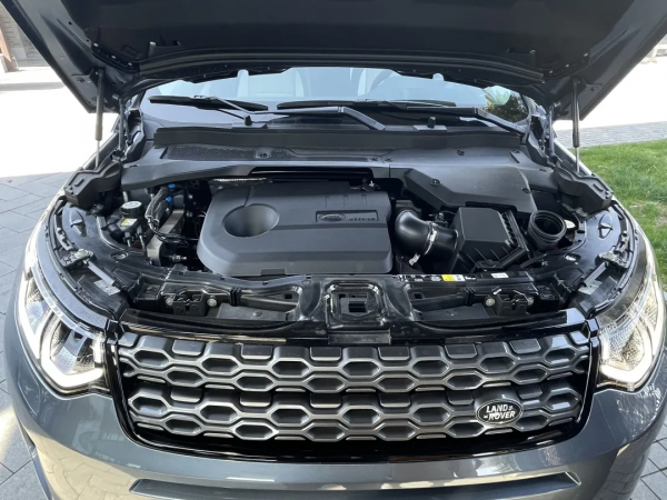 掛綠牌還能這麼野的，也只有它了