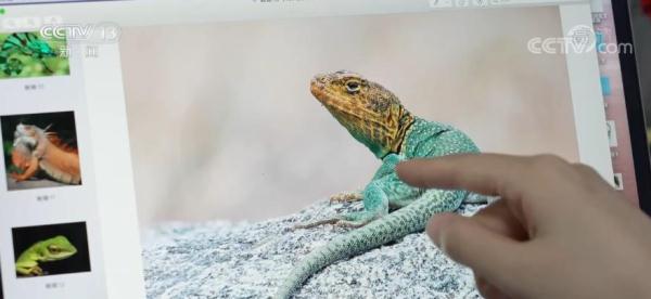 如何還原這些消失的朋友？恐龍畫像是這麼來的