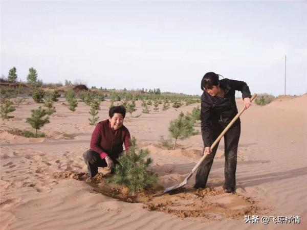 治沙女傑:37年前負債累累,承包11萬畝荒沙,種2800萬棵樹,為啥 治沙女傑:37年前負債累累,承包11萬畝荒沙,種2800萬棵樹,為啥