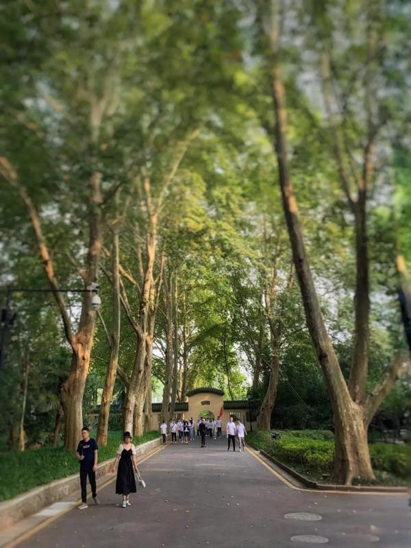 七絕·湯山金烏溫泉公園題名考（外5首）