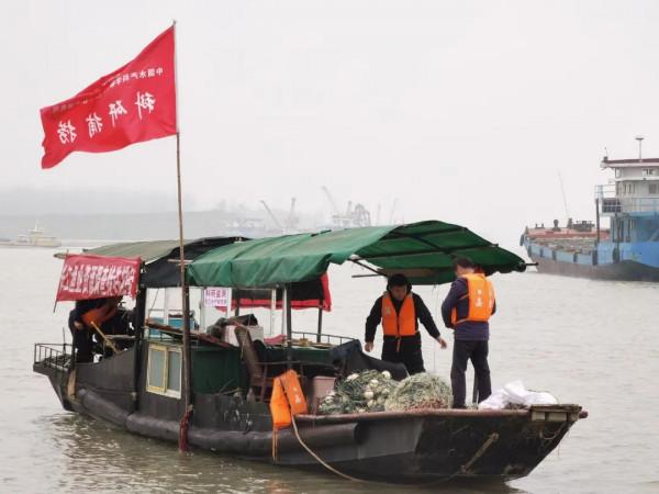 禁漁十年好！長江銷聲匿跡多年的“䲘”頻頻出水，白暨豚有救了？
