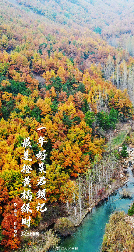 絕美山河秋色！當秋日美景遇上古詩詞