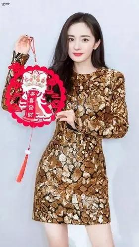 楊冪驚豔寫真集2 楊冪驚豔寫真集2