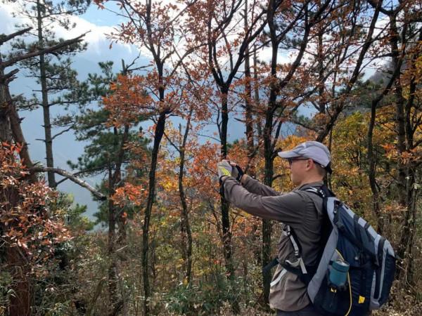 再登龍王山 安吉、臨安、寧國的交界山，海拔1587.4米，您去過嗎