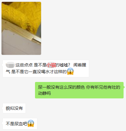 自從接了一隻貓回家,我焦慮到脫髮、失眠、心跳加速... 自從接了一隻貓回家,我焦慮到脫髮、失眠、心跳加速...