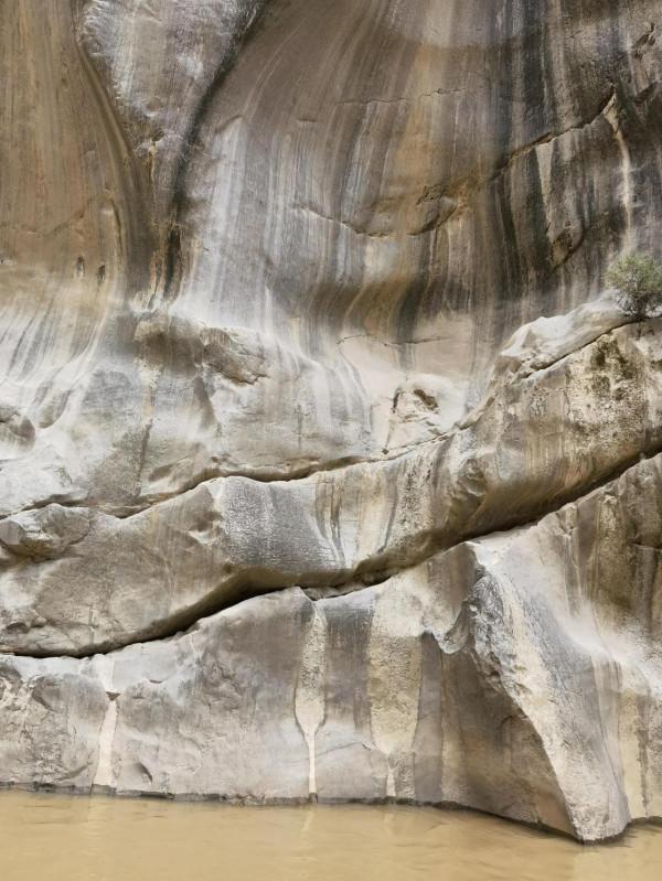 被水咬過的石頭 被水咬過的石頭