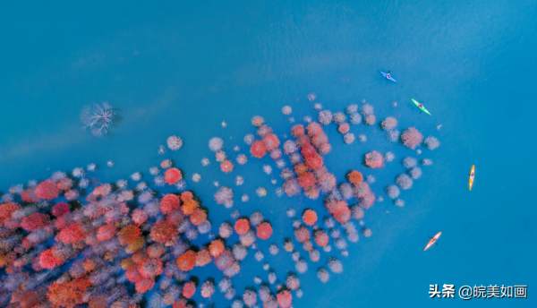 安徽秋遊,五個自駕推薦地|去趕赴秋天的盛會 安徽秋遊,五個自駕推薦地|去趕赴秋天的盛會