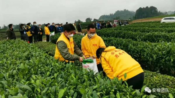 種養迴圈經濟存在的問題和解決措施