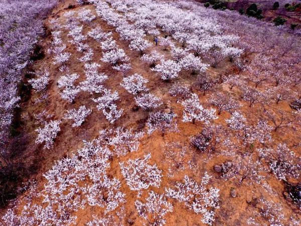 逃離城市！四川最美的10個神仙村落，第一個就心動了