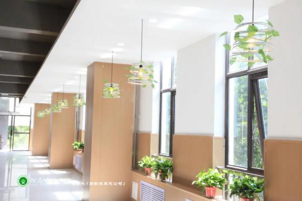 美美美,14000㎡等你發現,農大餐廳煥新啦 美美美,14000㎡等你發現,農大餐廳煥新啦