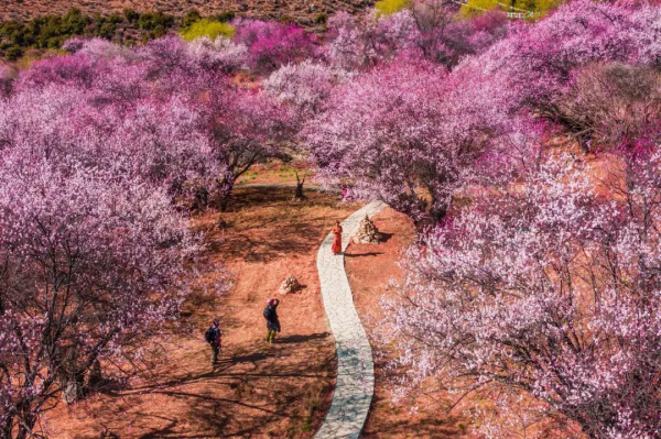 2022年，國內旅行時間表出爐，一鍵解鎖12個月的最佳旅行地