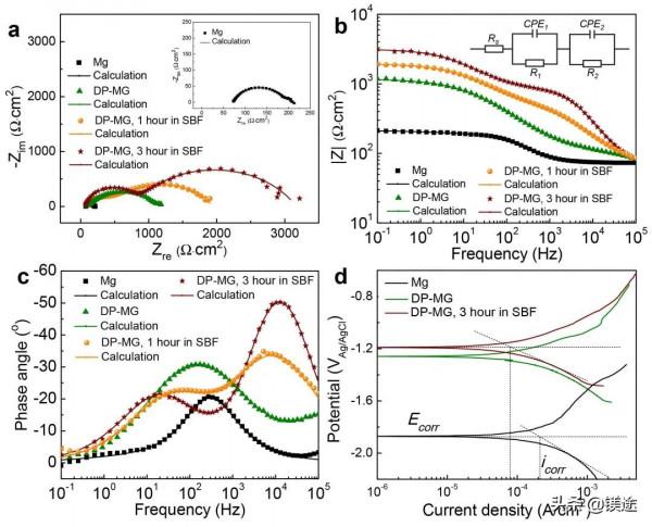 鎂科研：可降解生物醫用合金的福音：高強Mg-Zn-Ca奈米雙相金屬玻