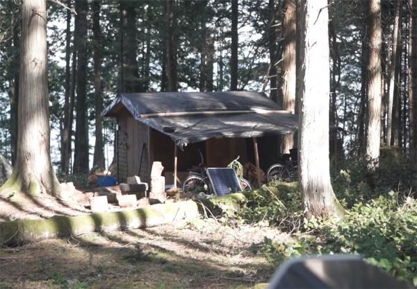 一對夫婦在荒島上住2年,蓋起10㎡蝸居,“離網”的日子簡單快樂 一對夫婦在荒島上住2年,蓋起10㎡蝸居,“離網”的日子簡單快樂