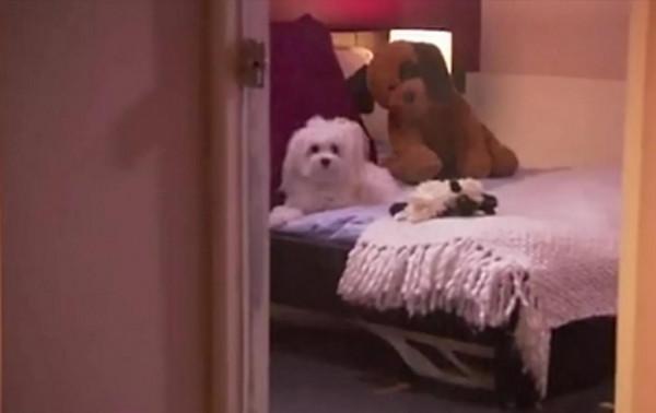 美國男子為別人看房子，五年都不用租房住，免費住不同的房子