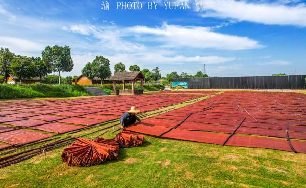 旅途中偶遇風光大片，瞭解卻是差點失傳的國家級非遺，非常了不起