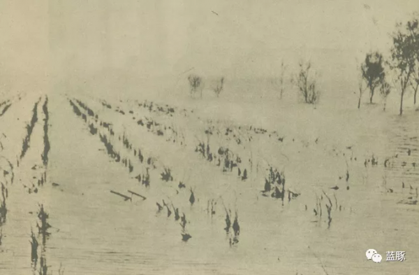 汪胡楨 &vert; 淮河的新生