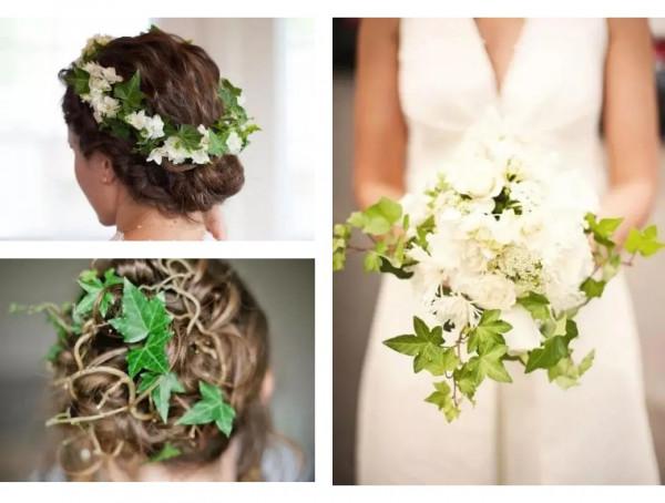 100種觀葉植物 | No.7 常春藤養護攻略