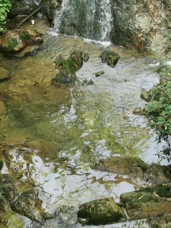 如何激勵孩子提升學習動力？